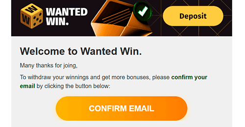Confirm your profile