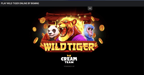 Start playing